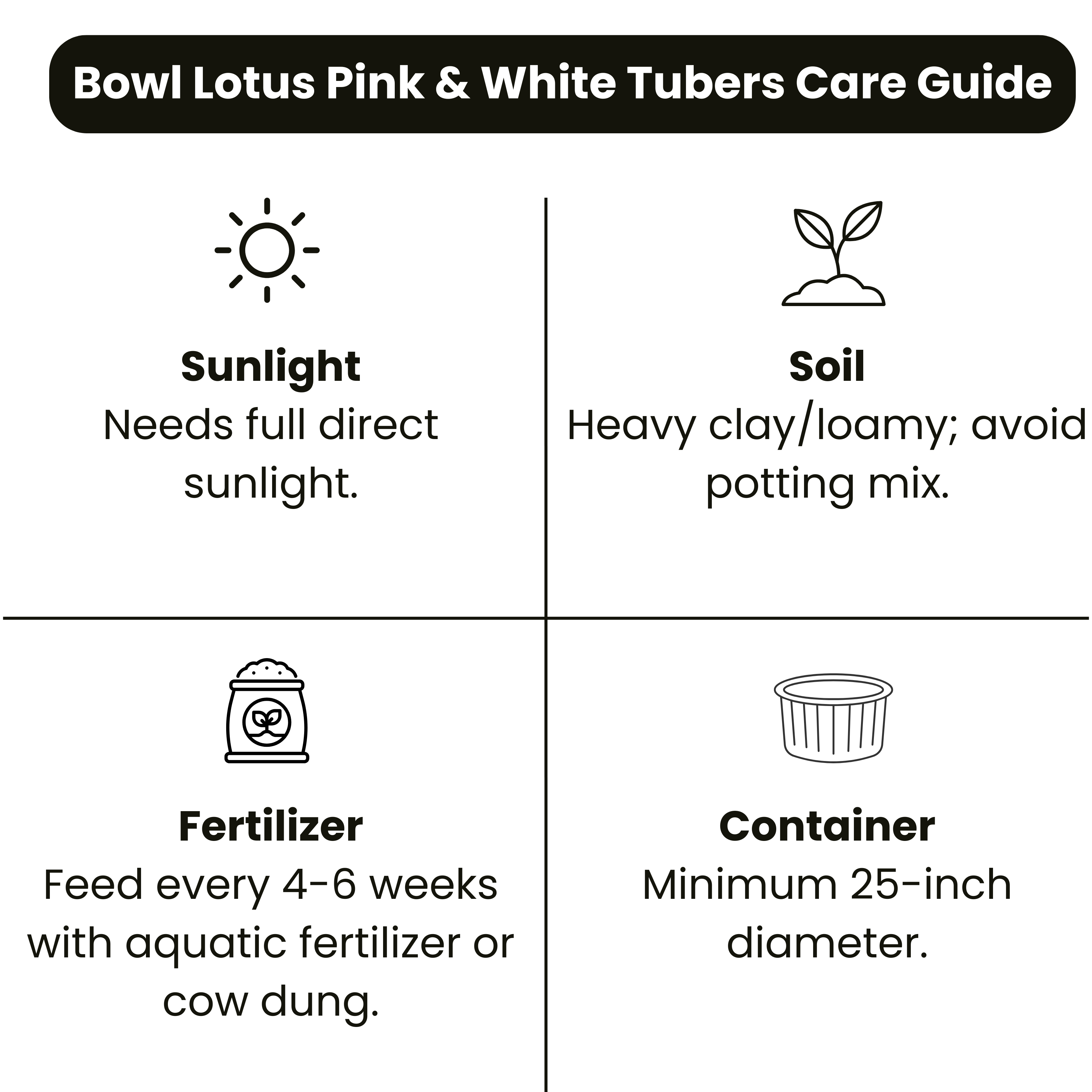 Bowl Lotus Pink &amp; White Tubers Combo