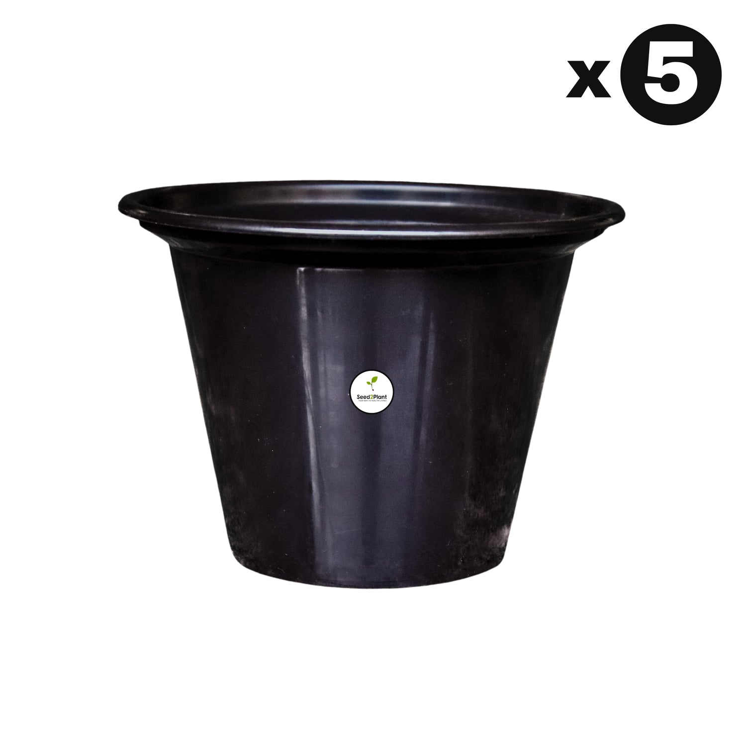 Chic Black Pot / Planter