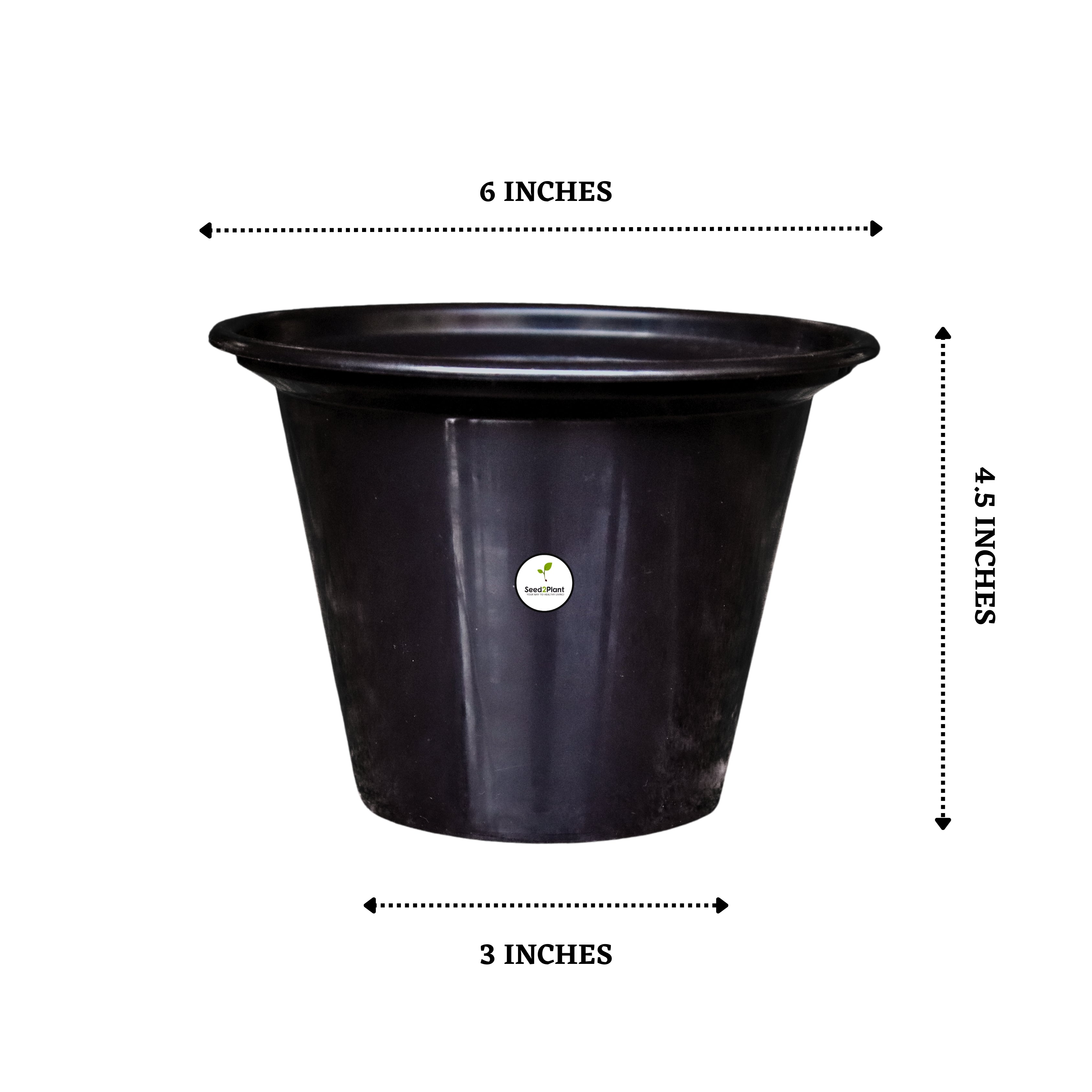 Chic Black Pot / Planter