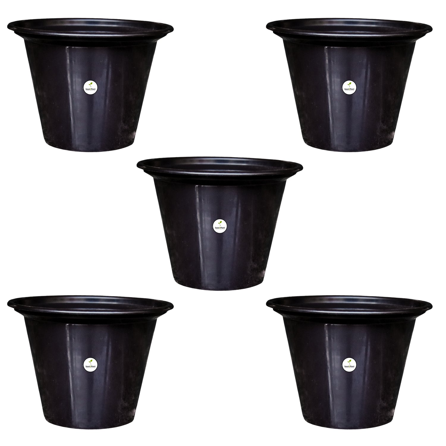 Chic Black Pot / Planter