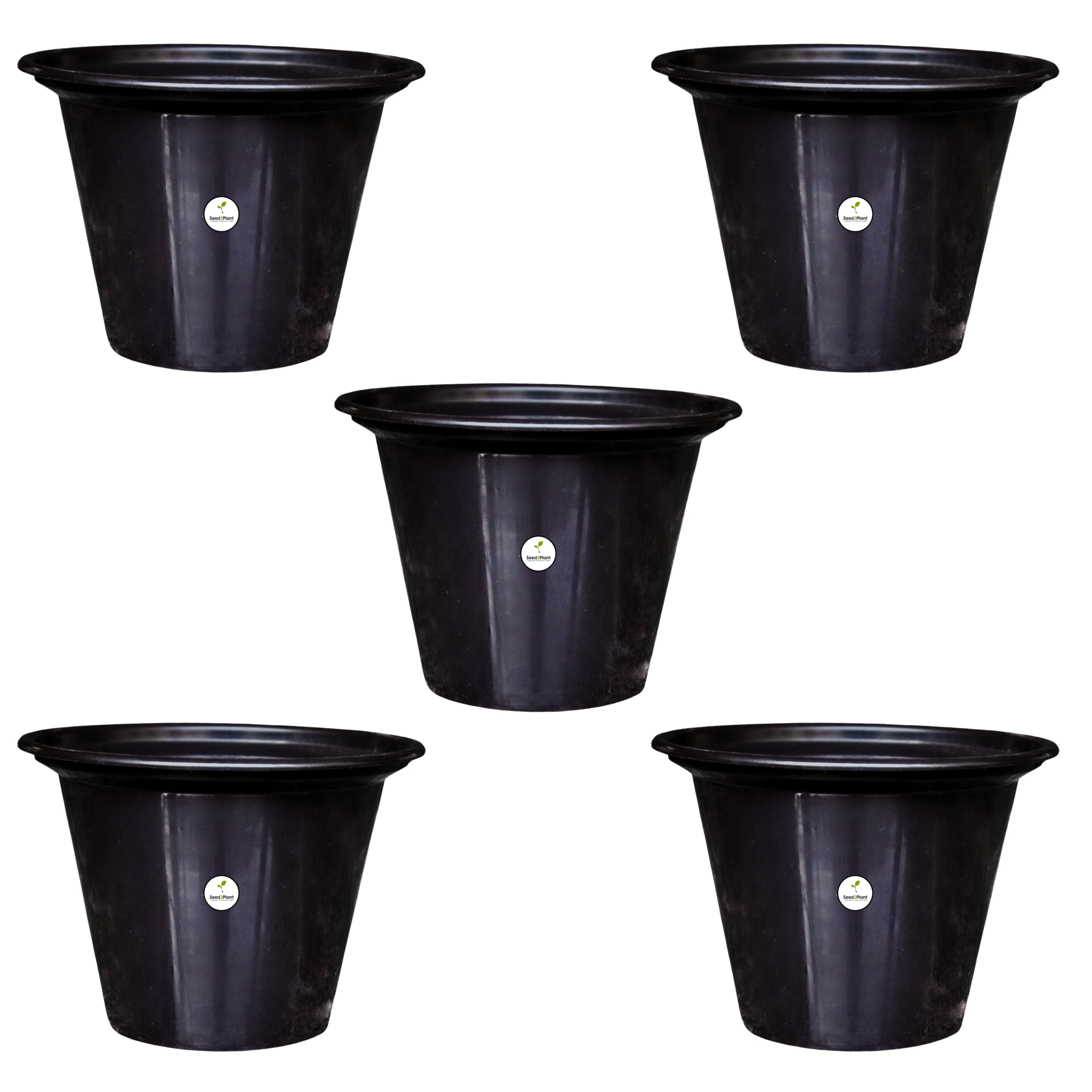 Chic Black Pot / Planter