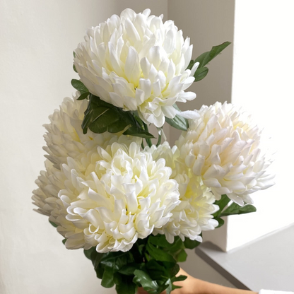 Chrysanthemum White Flowering Live Plant