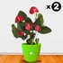 Seed2Plant