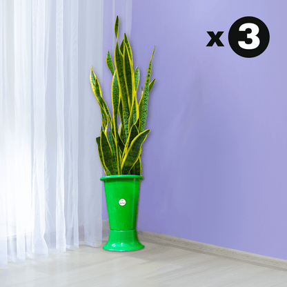 Galaxy Indoor Plastic Pot - Dark Green Colour