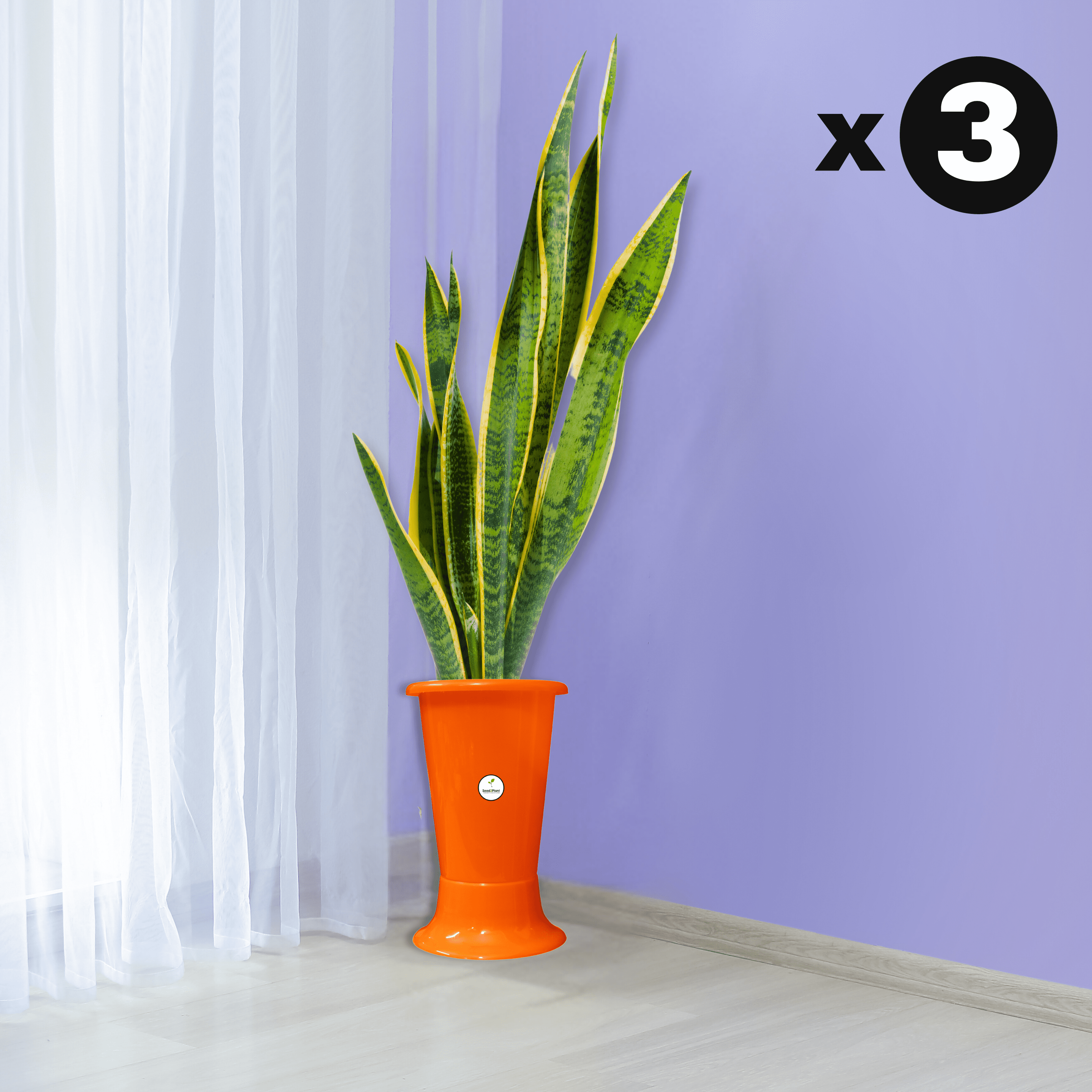 Galaxy Indoor Plastic Pot - Orange Colour