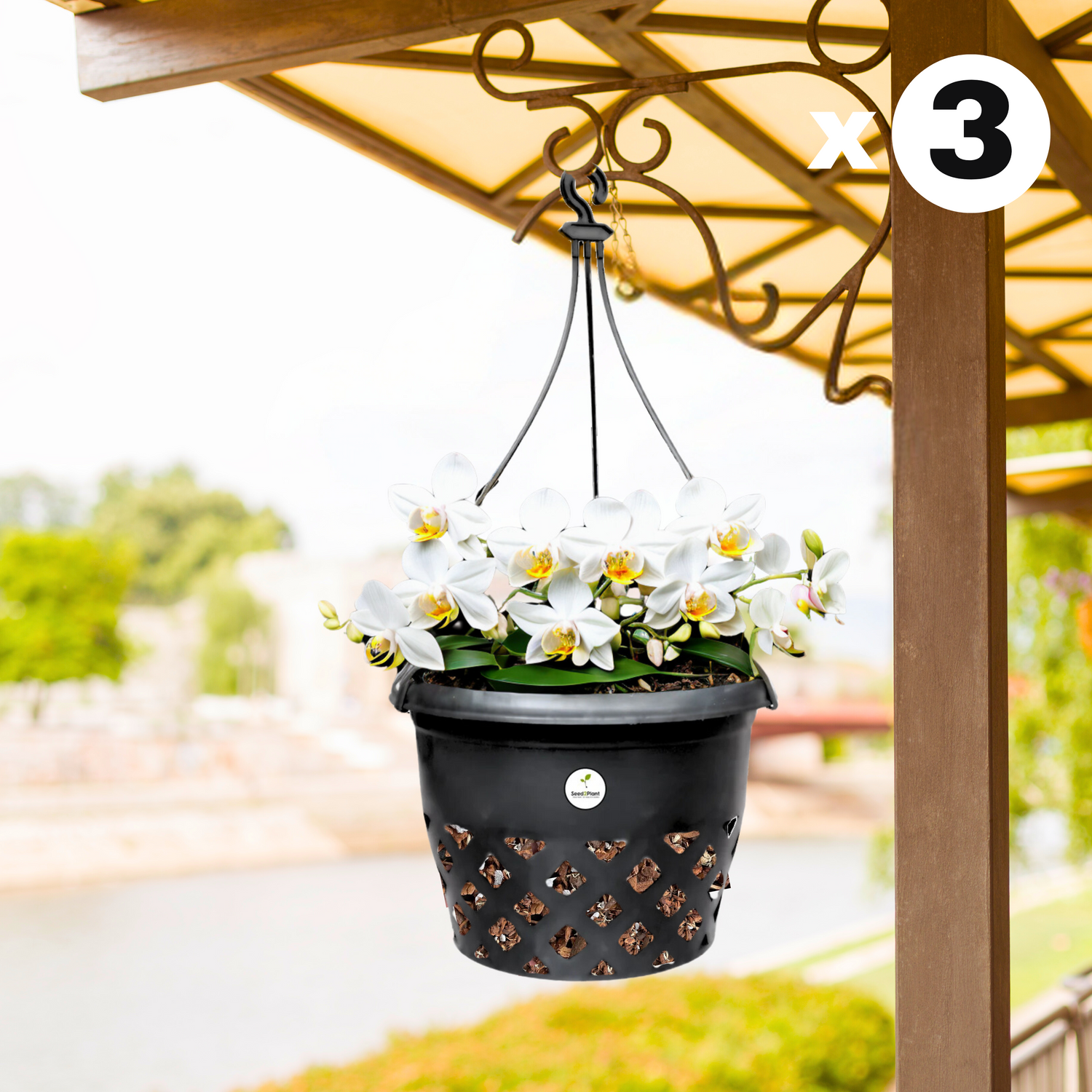 Hanging Big Orchid Pot - Black