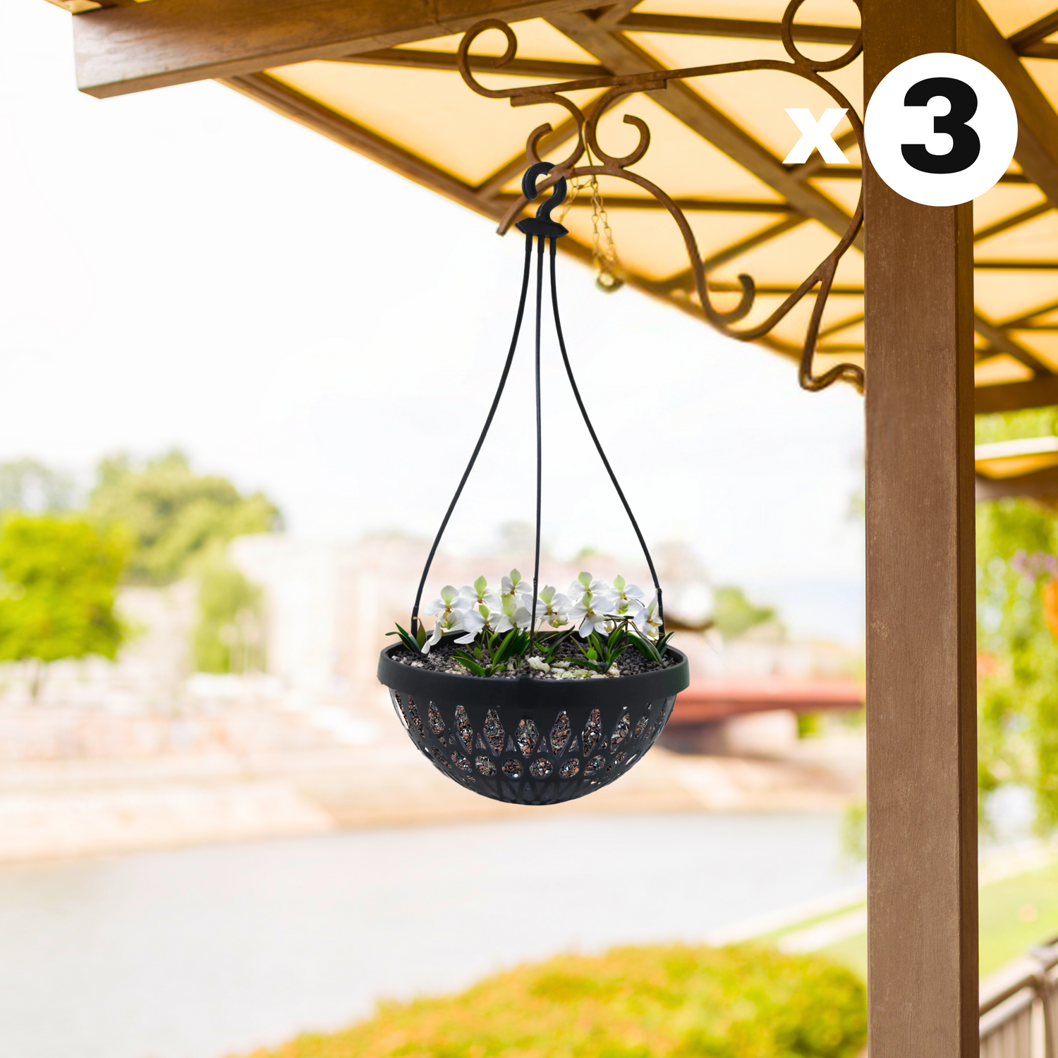 Hanging Orchid Pot - Black Colour