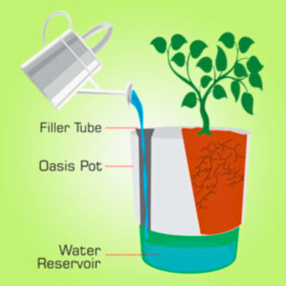 HydroGlow Effortless Self-Watering Indoor Planter - Medium Size