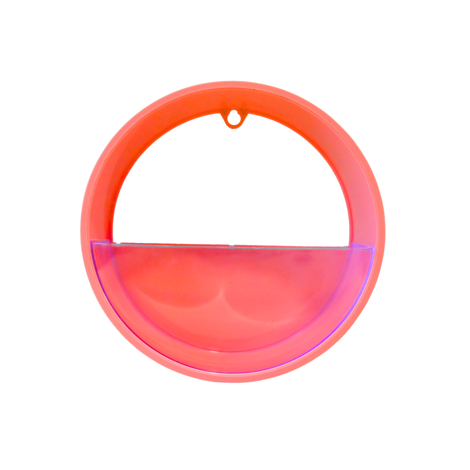 Modern Circular Wall Planter