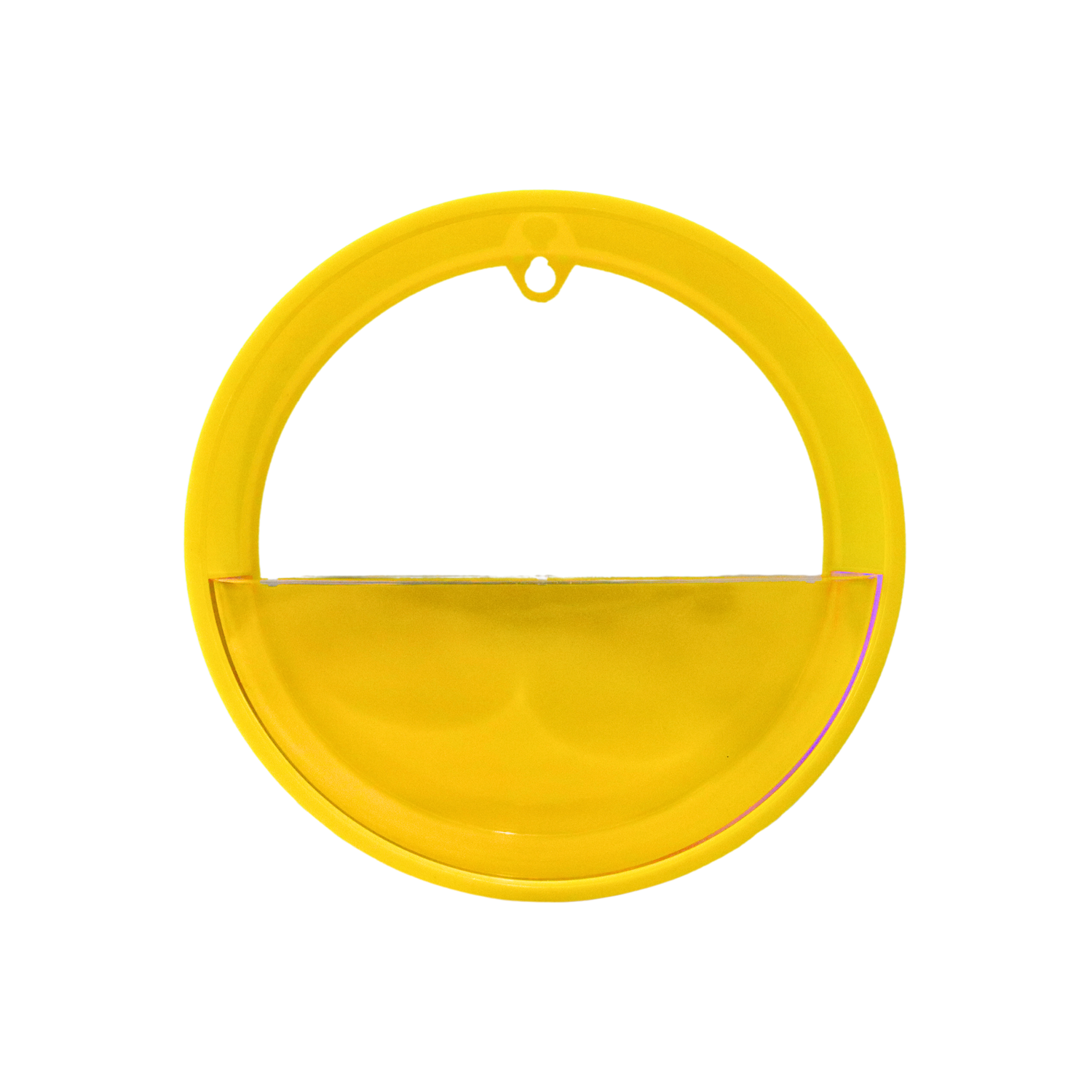 Modern Circular Wall Planter