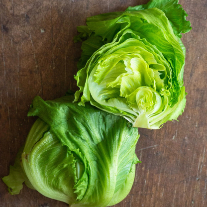 Organic Iceberg Lettuce Seeds - Open Pollinated