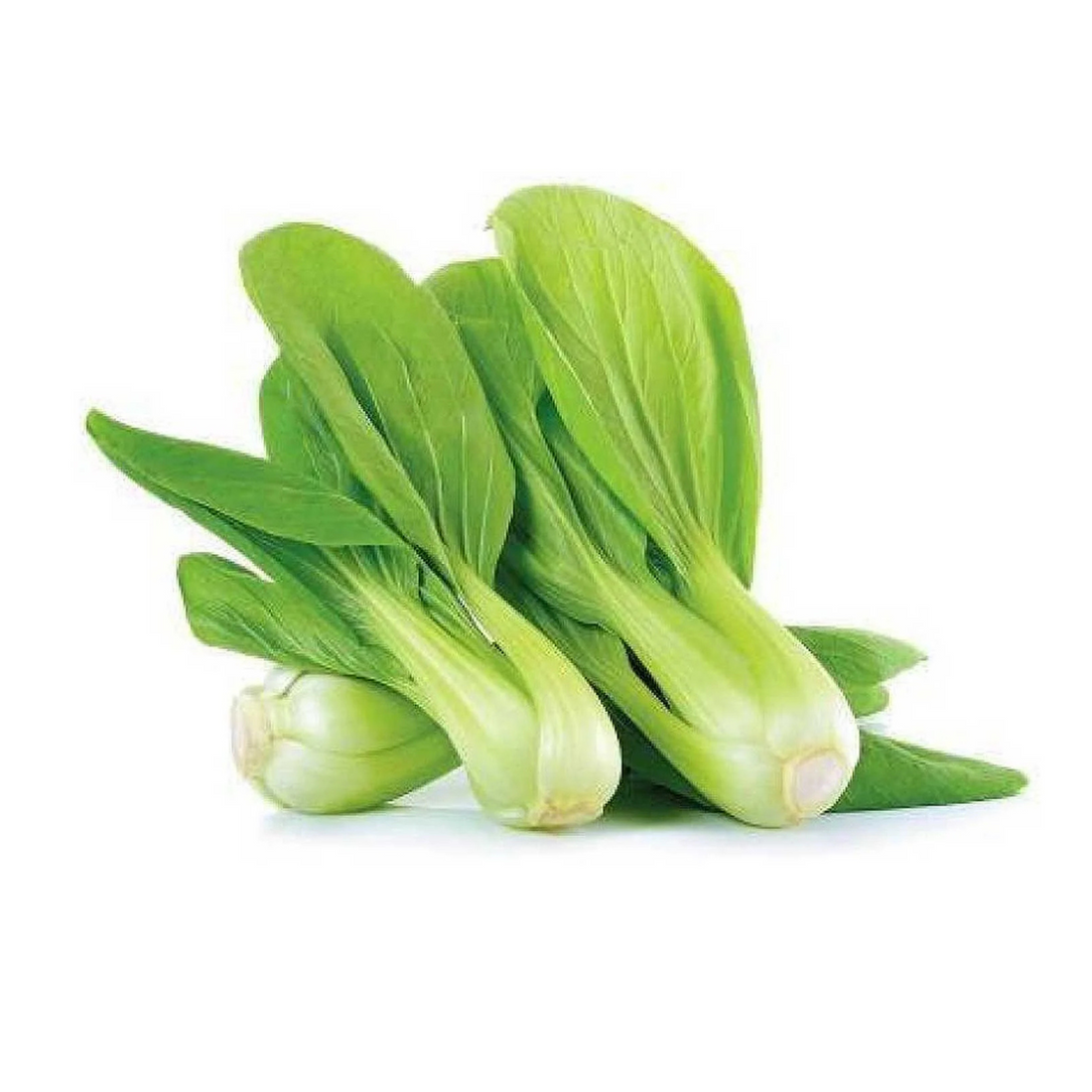 Organic Pak Choi (पाक चोई के बीज) Seeds - Open Pollinated