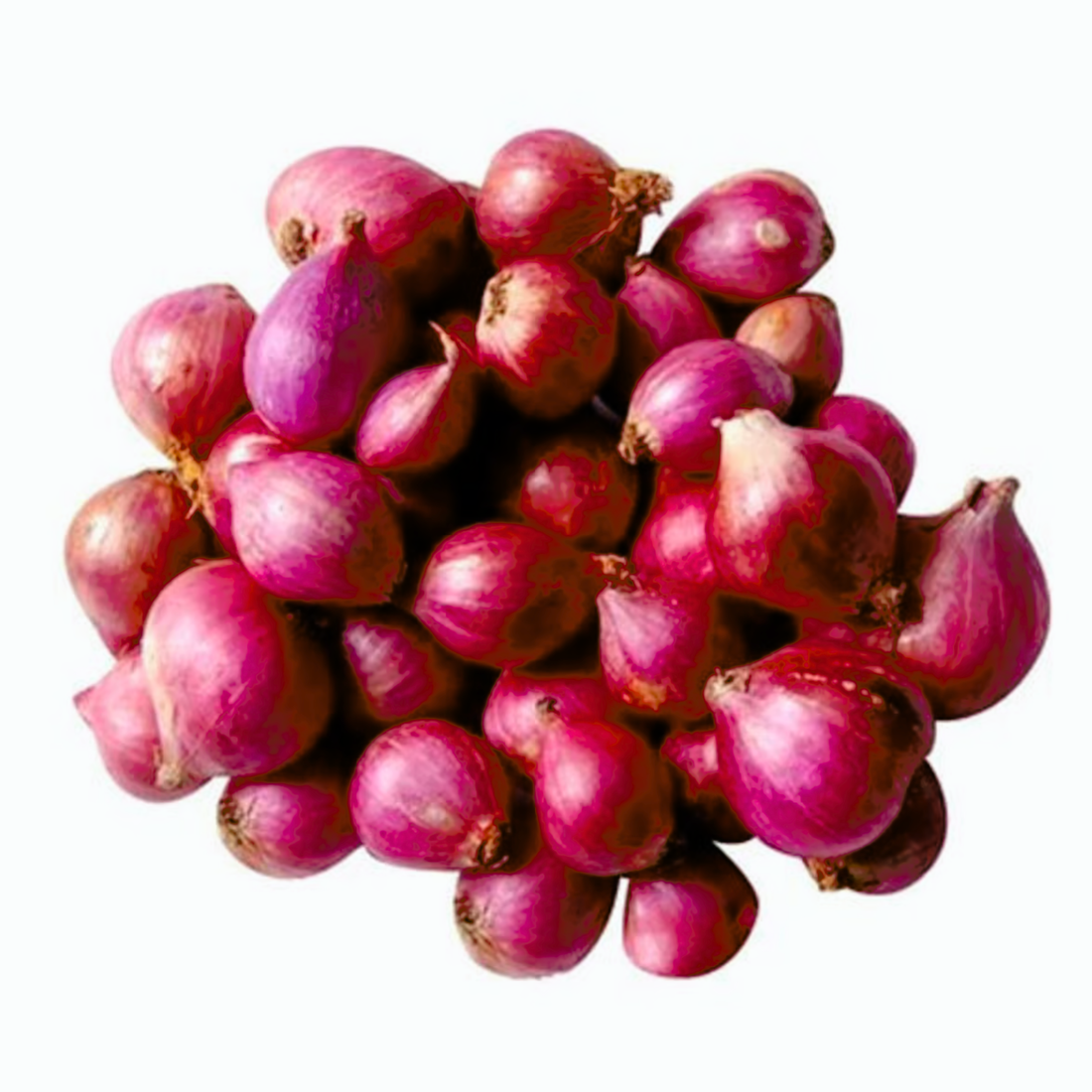 Organic Small Onion (Sambar Onion) Seeds - Open Pollinated