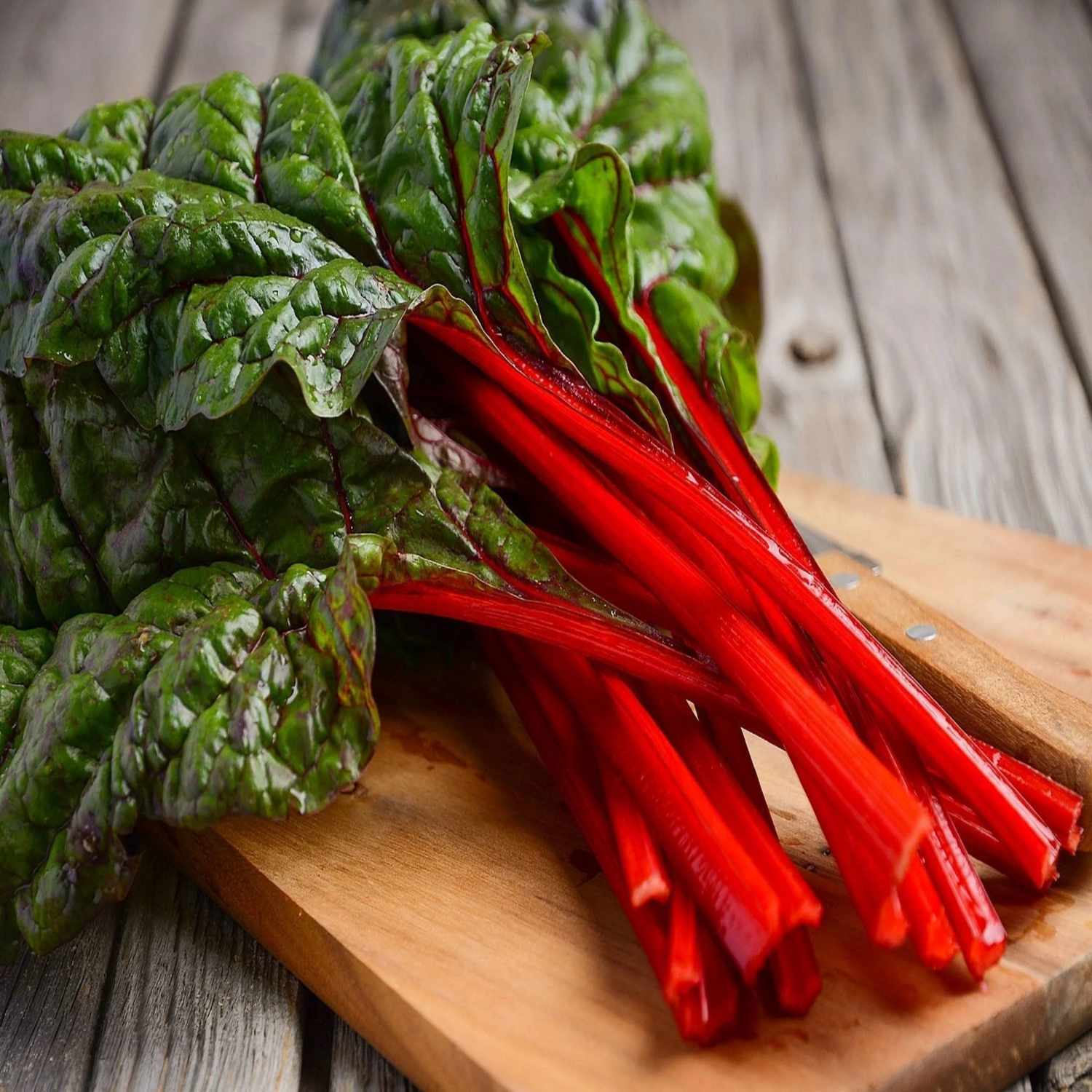 Organic Swiss Chard Red (स्विस चर्ड रेड) Seeds - Open Pollinated