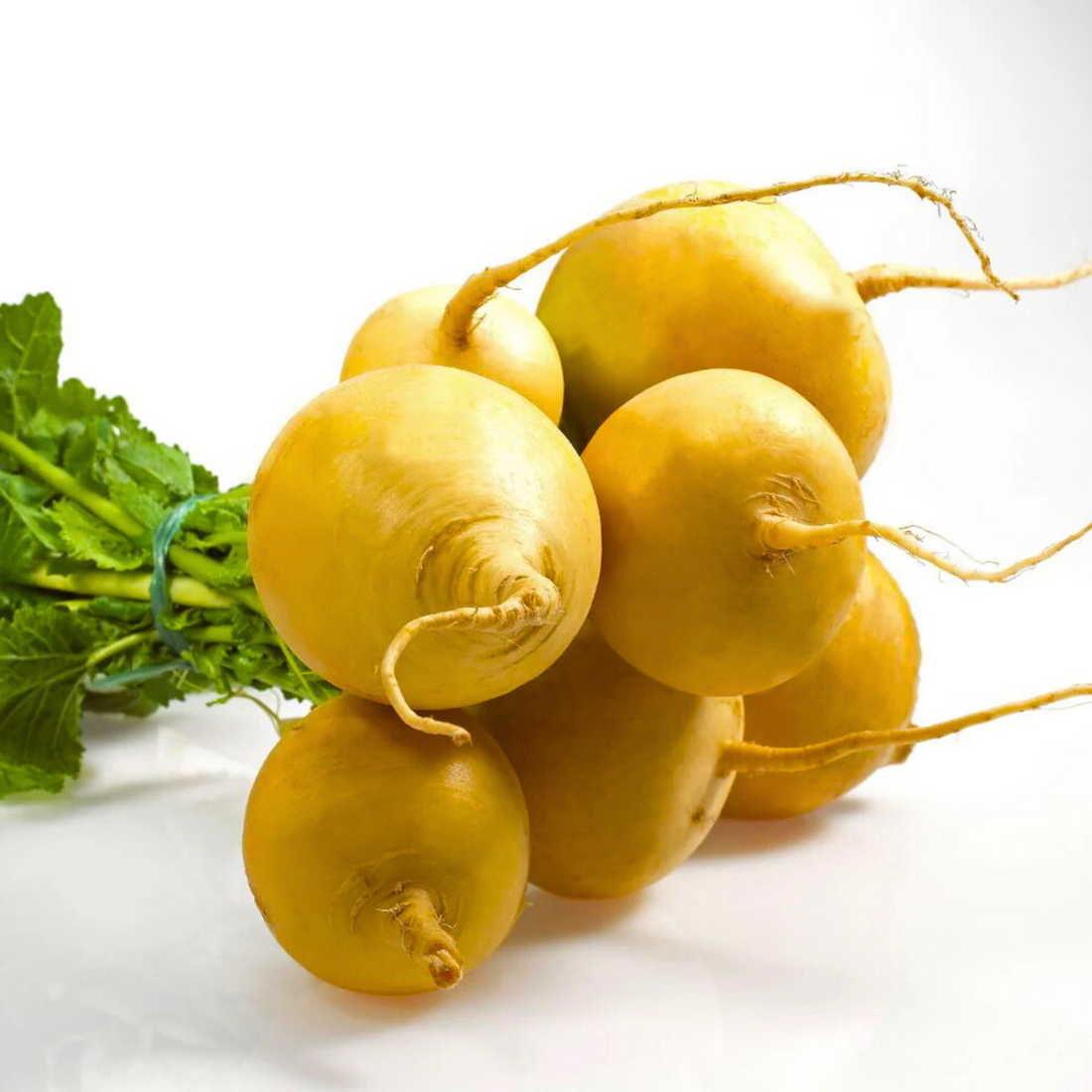Organic Turnip Golden Ball Seeds - Open Pollinated