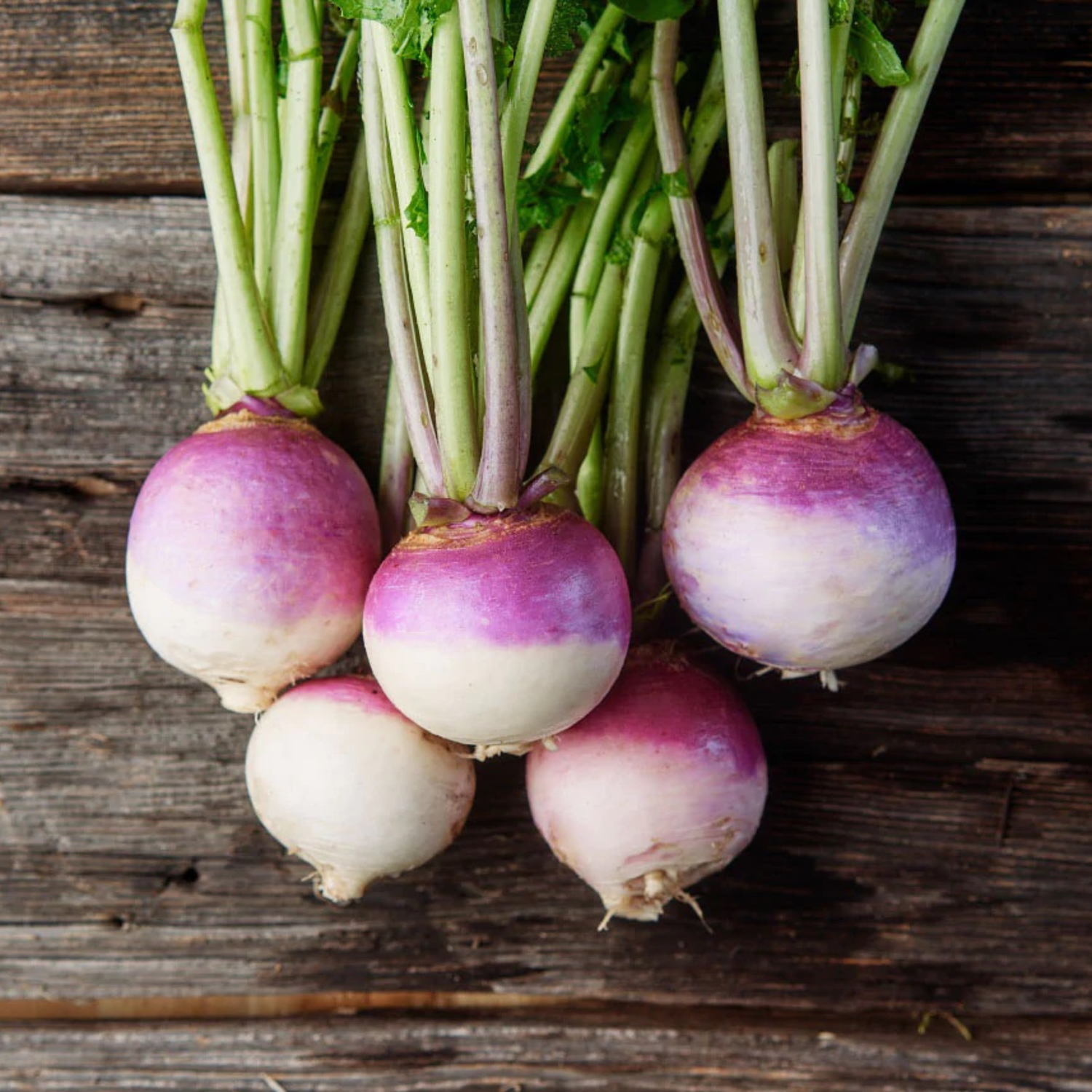 Organic Turnip Purple Top (शलजम) Seeds - Open Pollinated