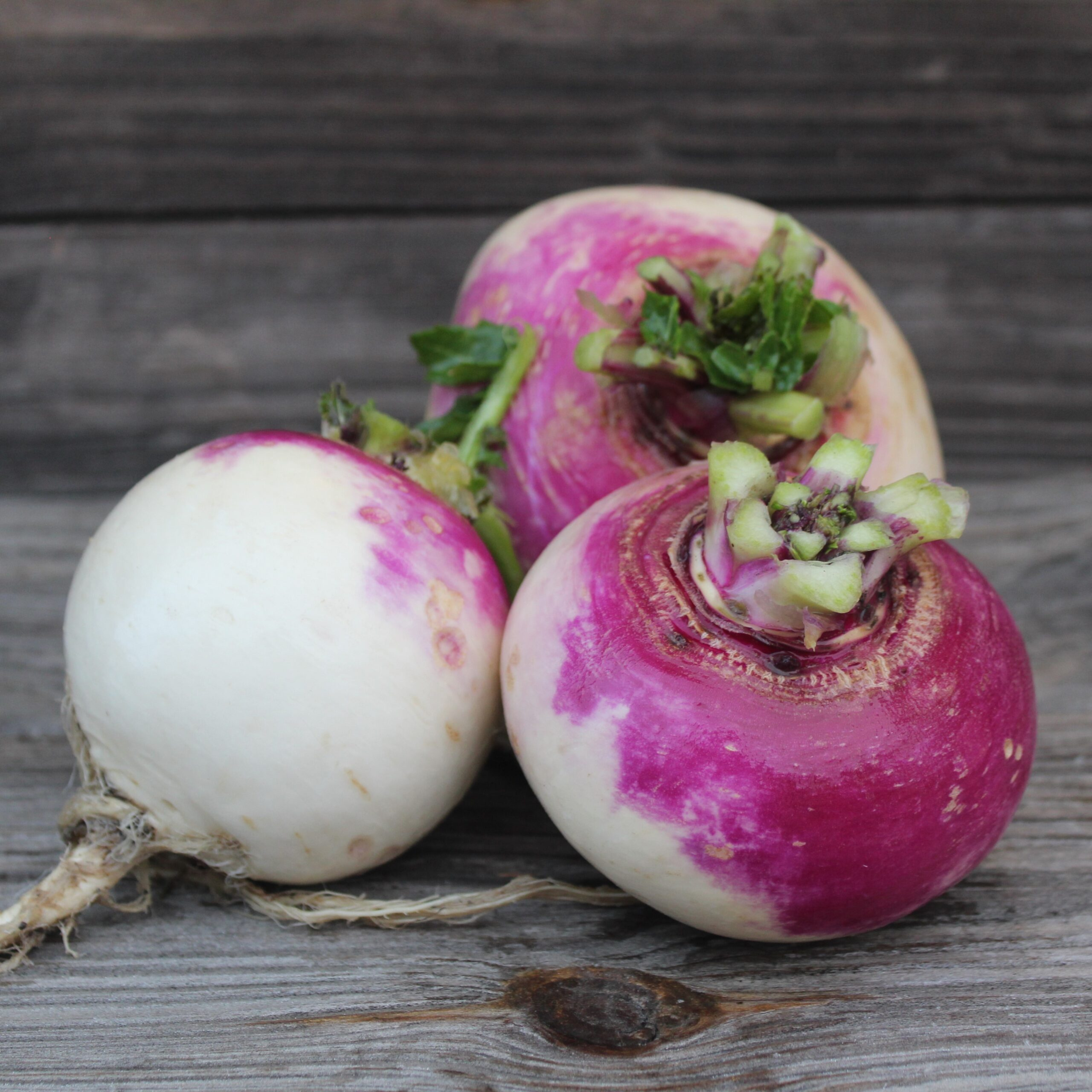 Organic Turnip Purple Top (शलजम) Seeds - Open Pollinated