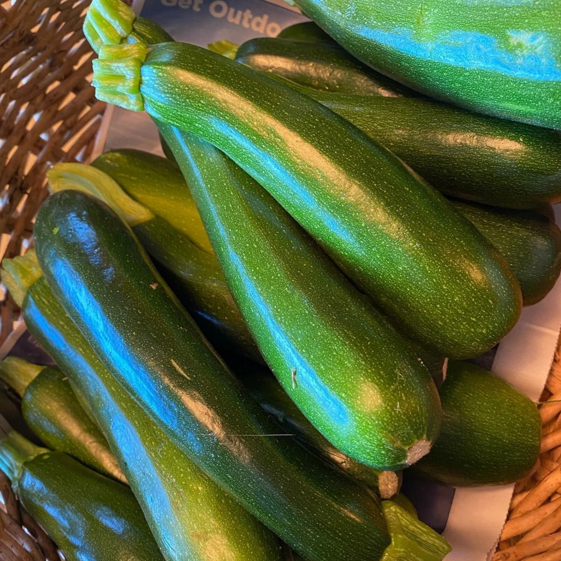 Organic Zucchini Long Green Seeds - Open Pollinated