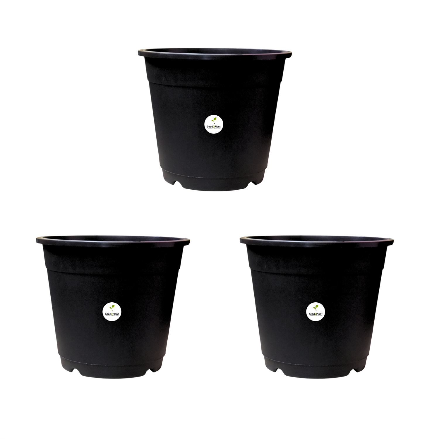 Plastic 10 Inches Nursery Pot with Trellis Holes - Black Colour