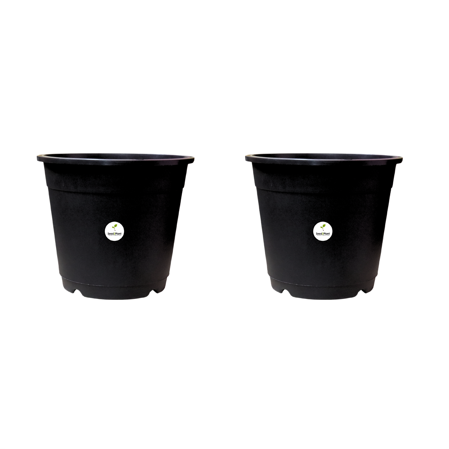 Plastic 10 Inches Nursery Pot with Trellis Holes - Black Colour