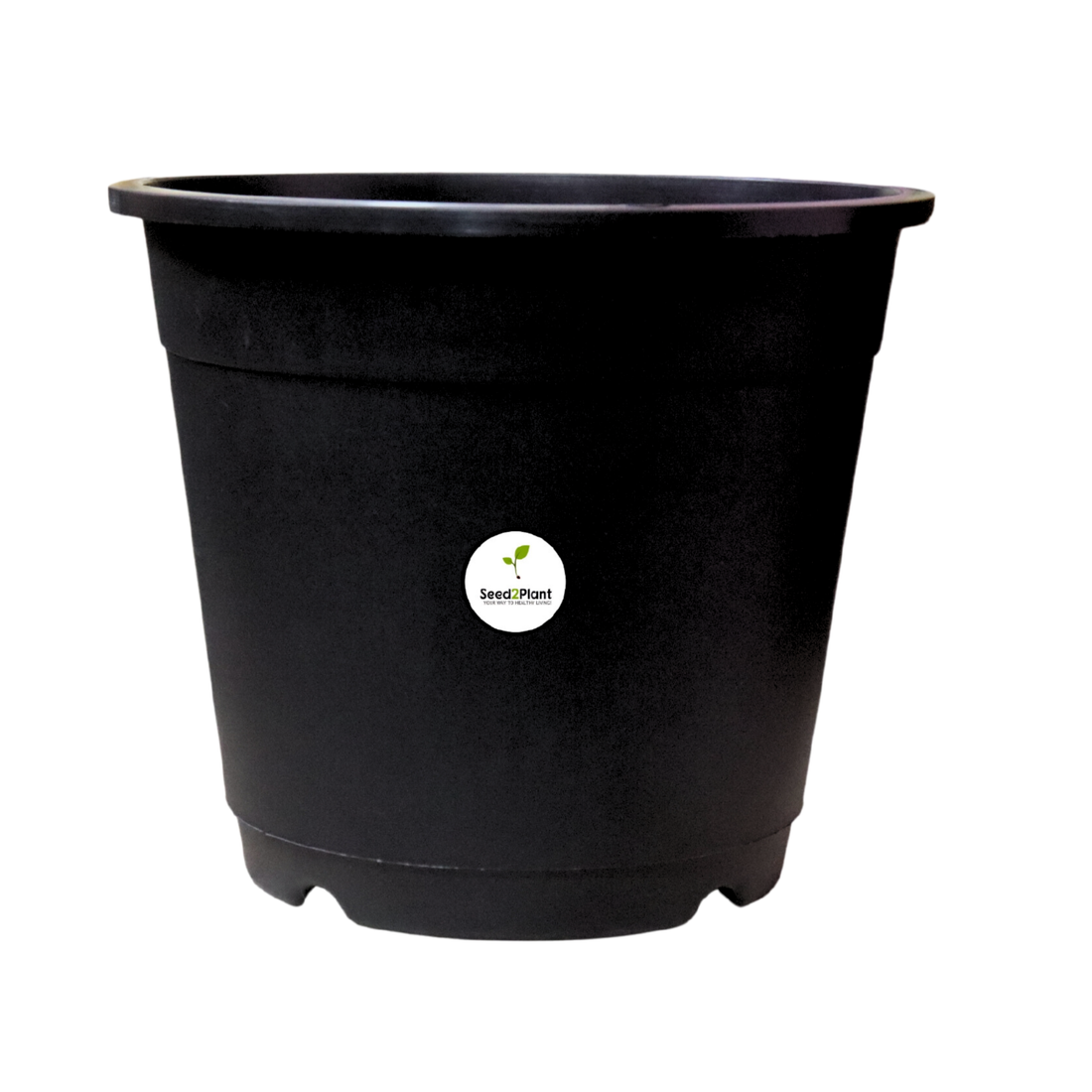 Plastic 10 Inches Nursery Pot with Trellis Holes - Black Colour