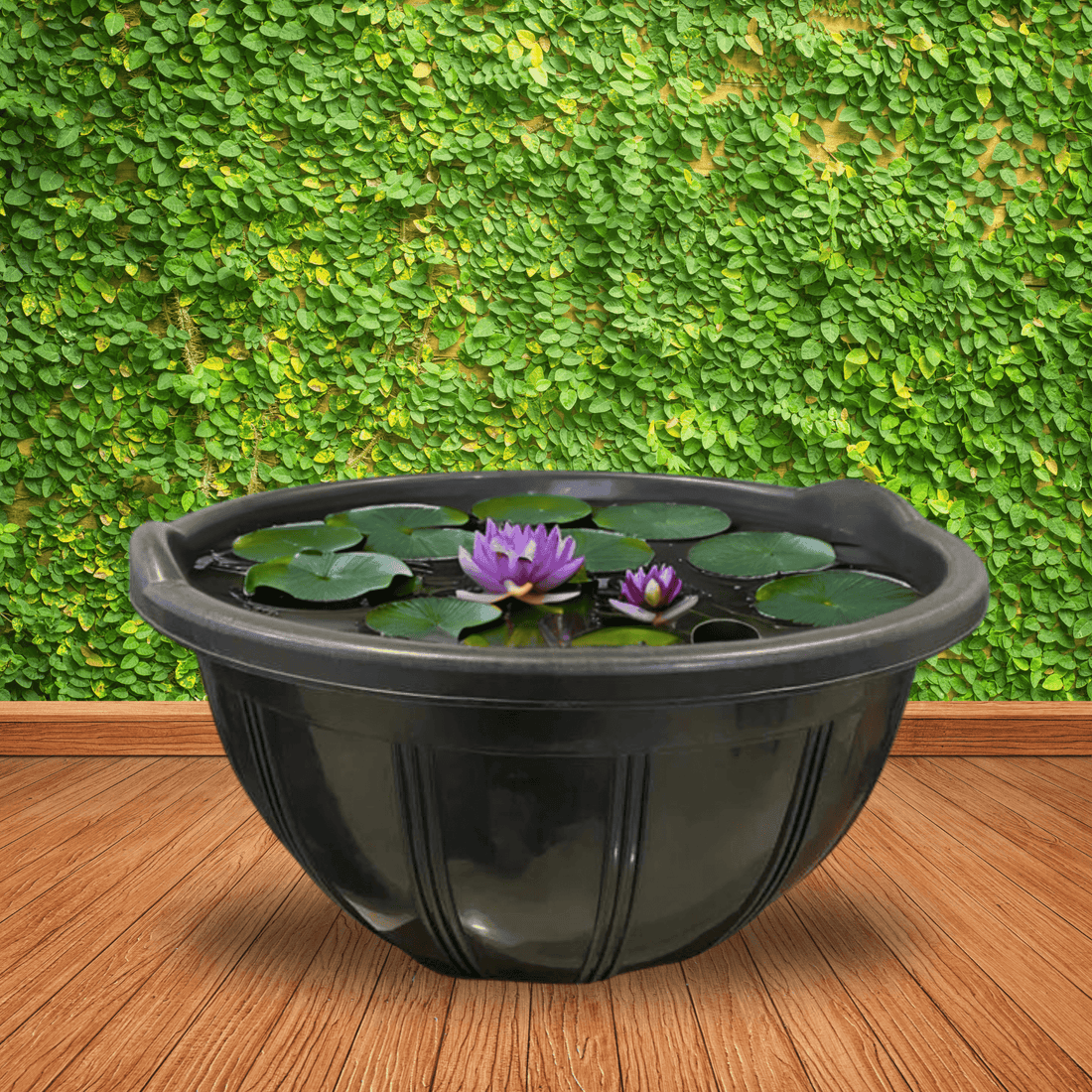 Plastic Bowl for Bowl Lotus and Water Lily