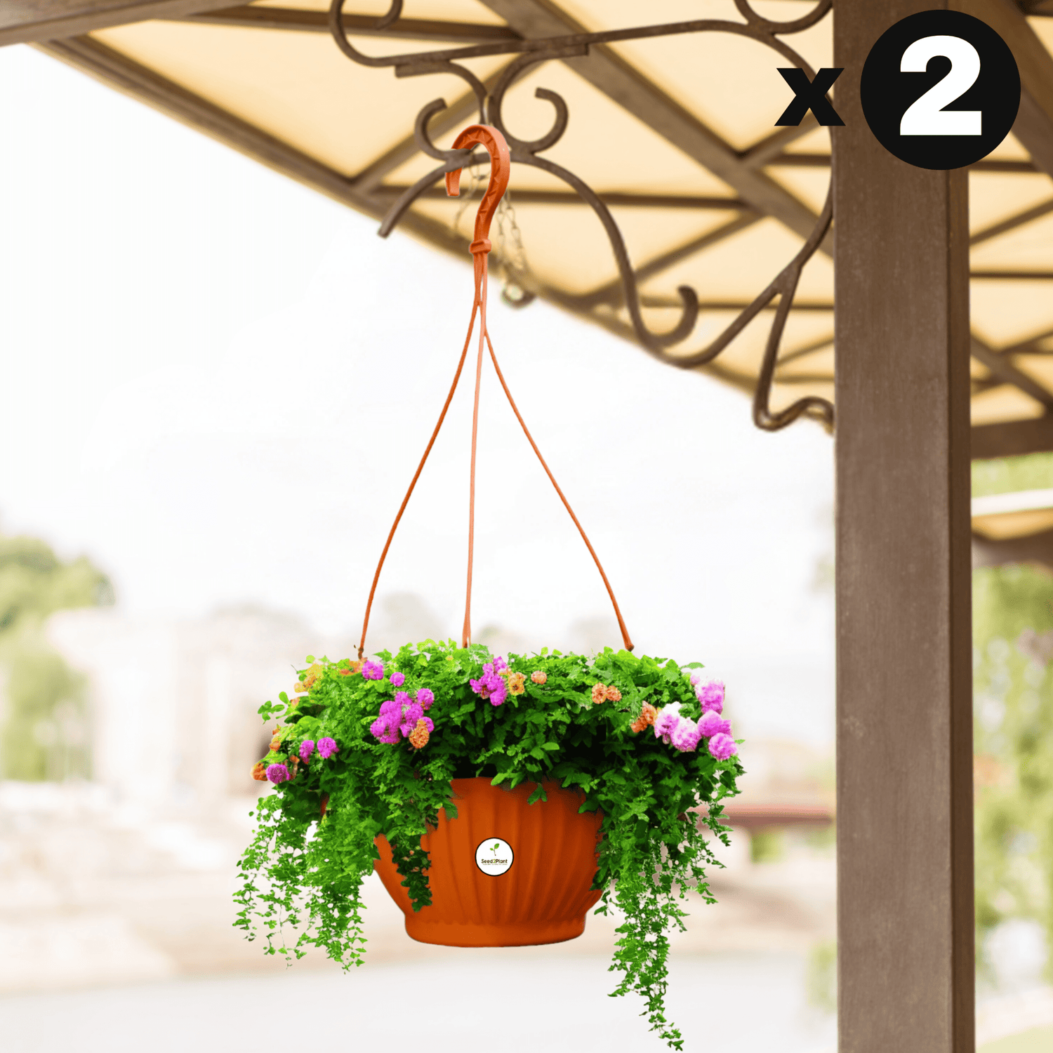 Plastic Hanging Pot - Terracotta Colour