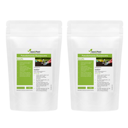 Pseudomonas Fluorescens Biofertilizer