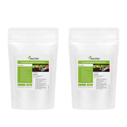 Pseudomonas Fluorescens Biofertilizer
