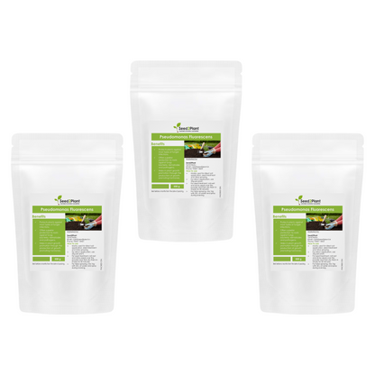 Pseudomonas Fluorescens Biofertilizer