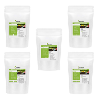 Pseudomonas Fluorescens Biofertilizer