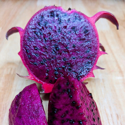 Red Jaina Dragon Fruit Live Plant