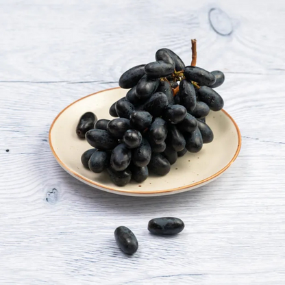 Seedless Grapes Black (Vitis vinifera) Fruit Live Plant