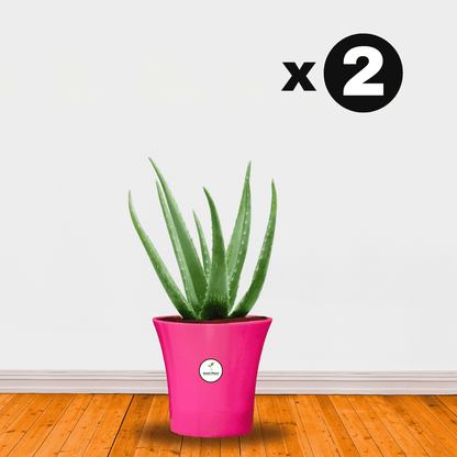 Self Watering Indoor Plastic Pot - Pink Colour