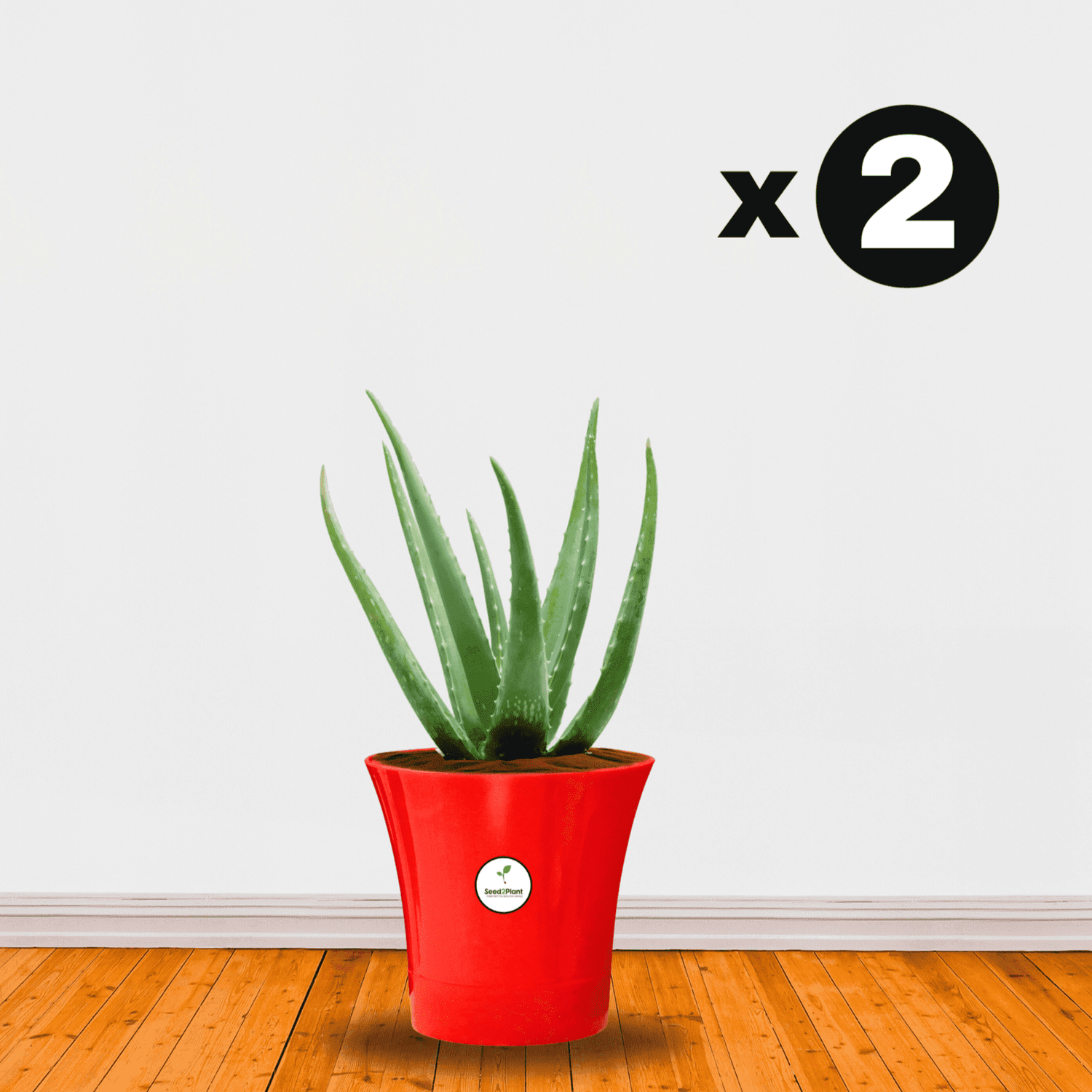 Self Watering Indoor Plastic Pot - Red Colour