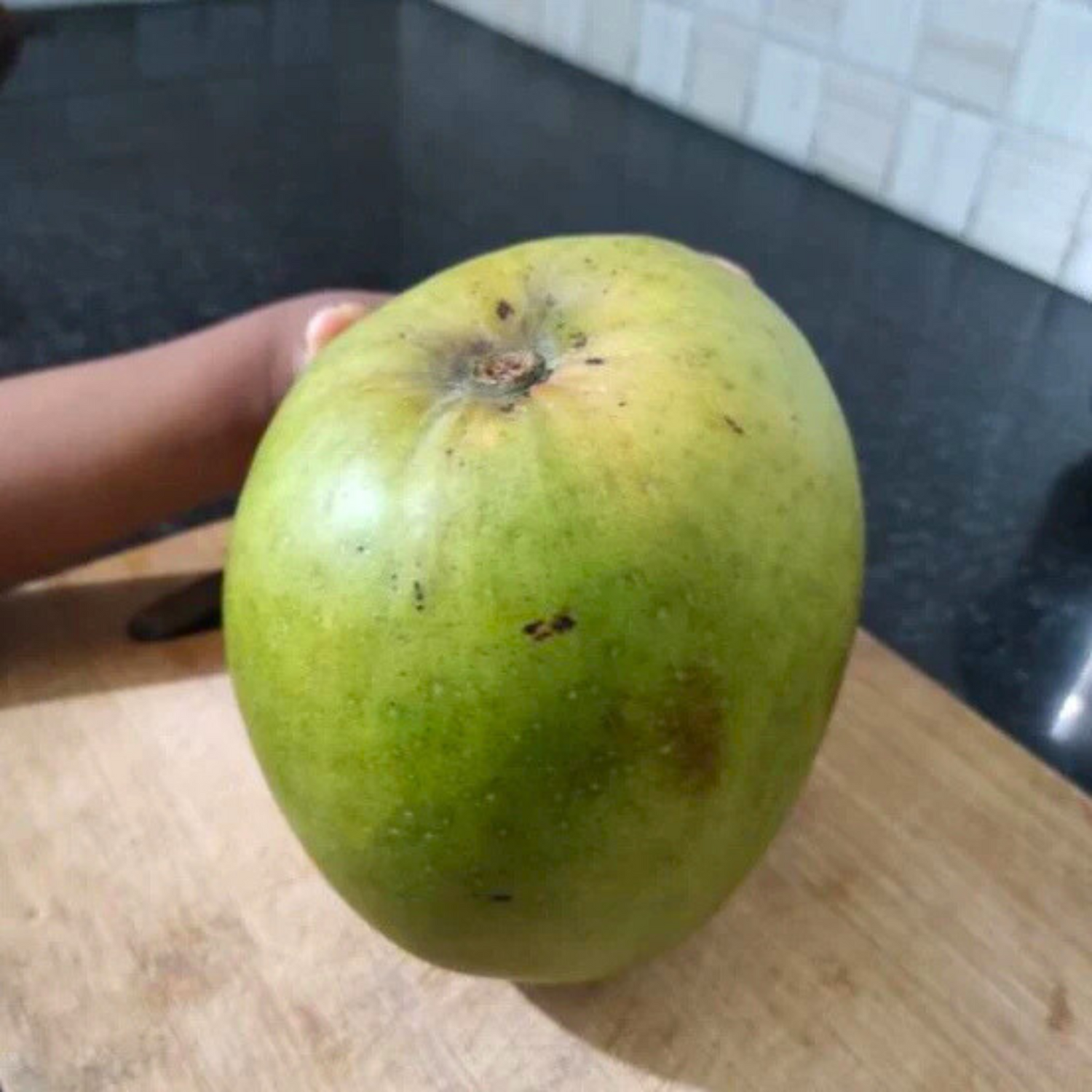 Sweet Coconut Mango Grafted Live Plant