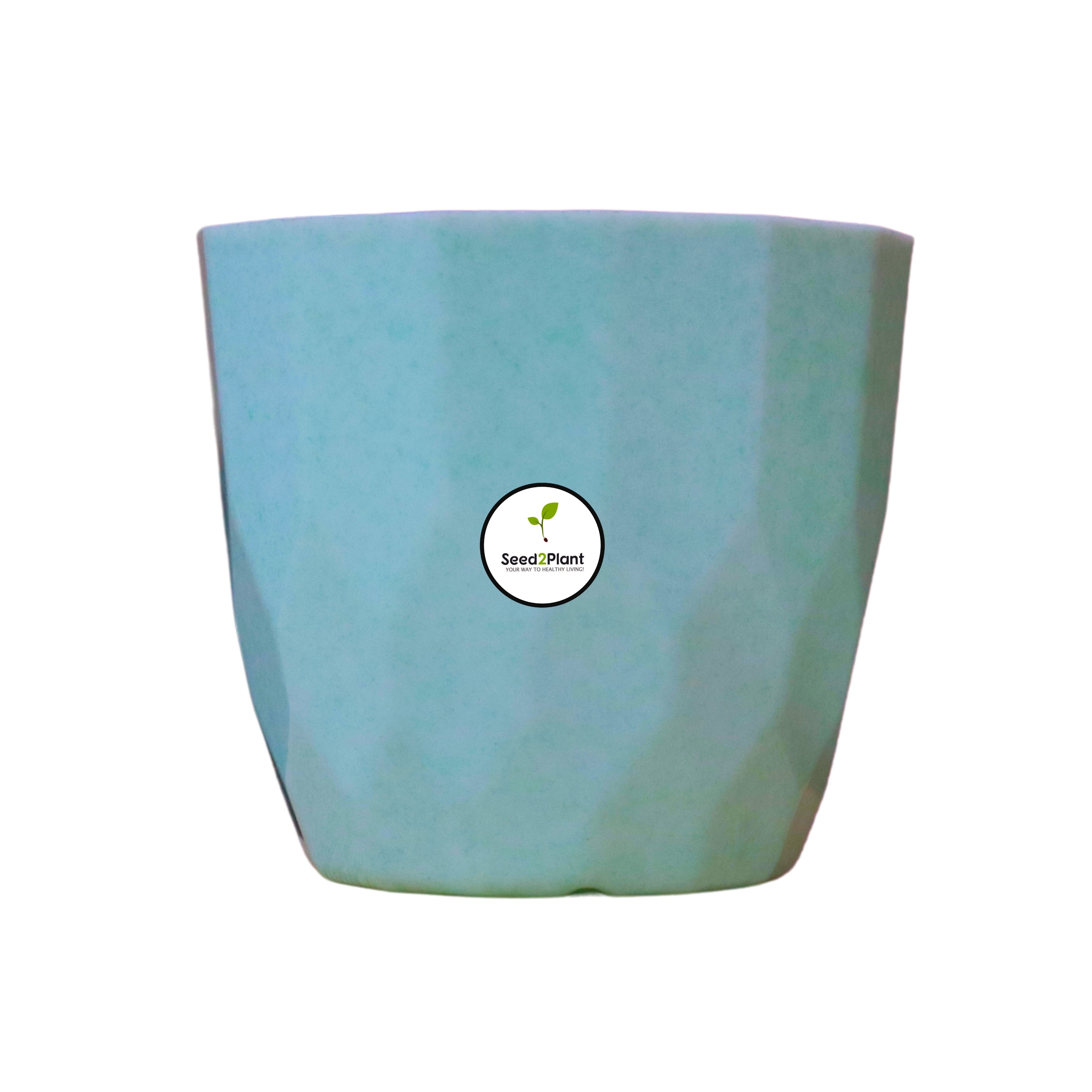 Indoor Tabletop Small Planter Plastic Pot - Blue Colour