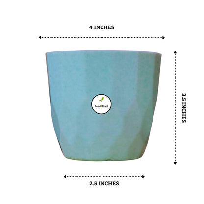 Indoor Tabletop Small Planter Plastic Pot - Blue Colour