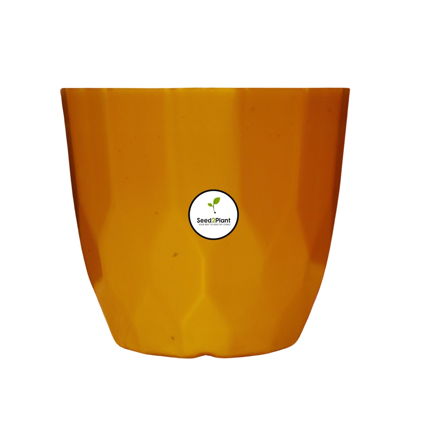 Indoor Tabletop Small Planter Plastic Pot - Golden Colour