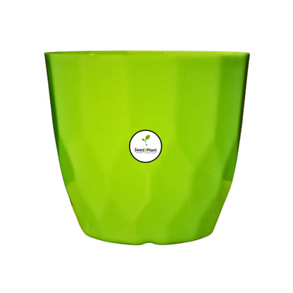 Indoor Tabletop Small Planter Plastic Pot - Green Colour