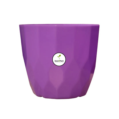 Indoor Tabletop Small Planter Plastic Pot - Violet Colour