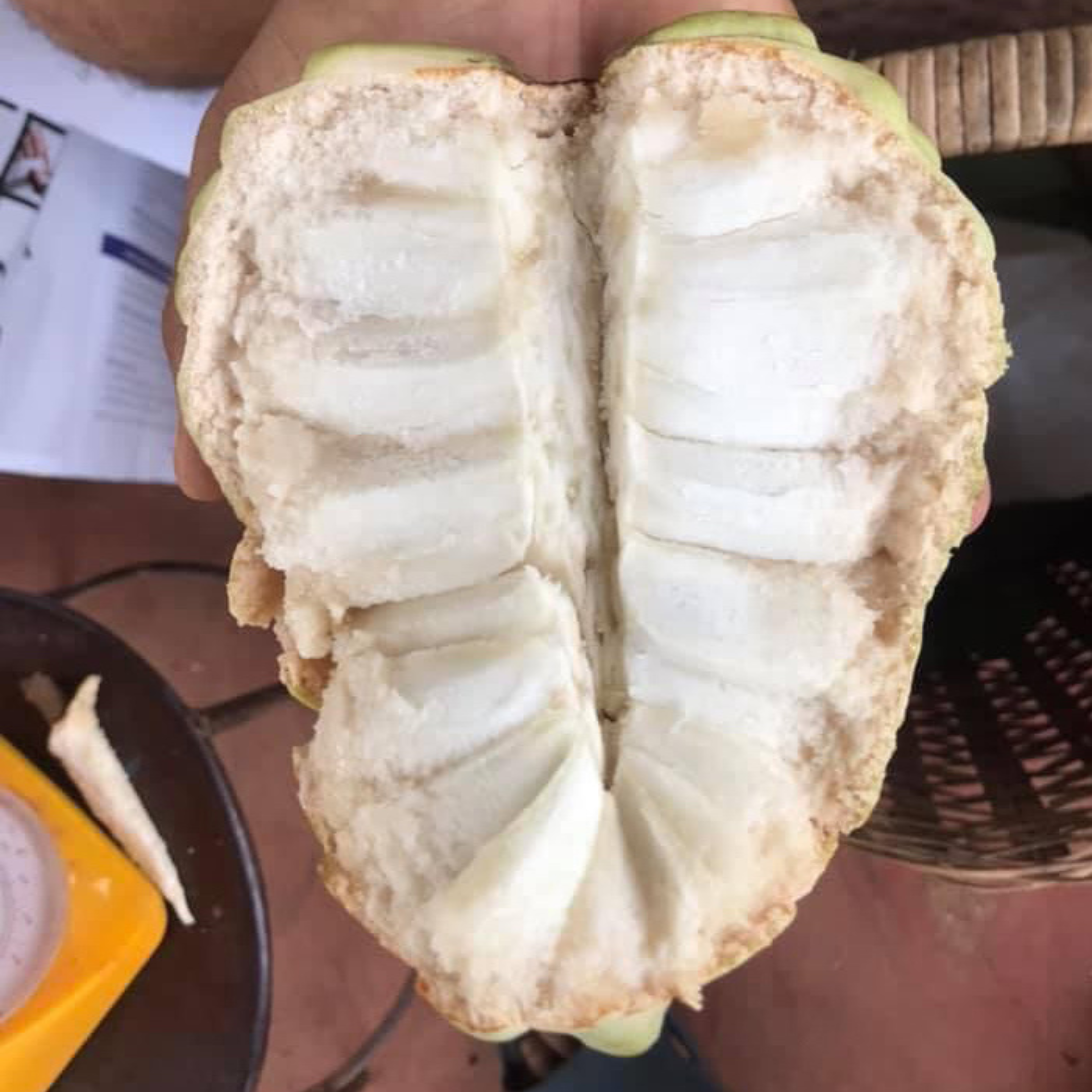 Taiwan Sugar Apple Grafted Fruit Live Plant