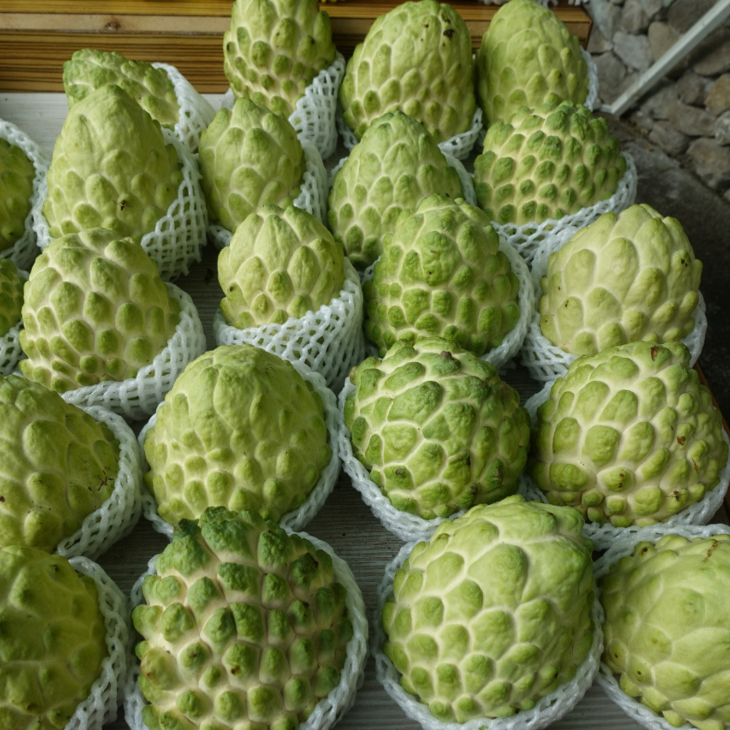 Taiwan Sugar Apple Grafted Fruit Live Plant