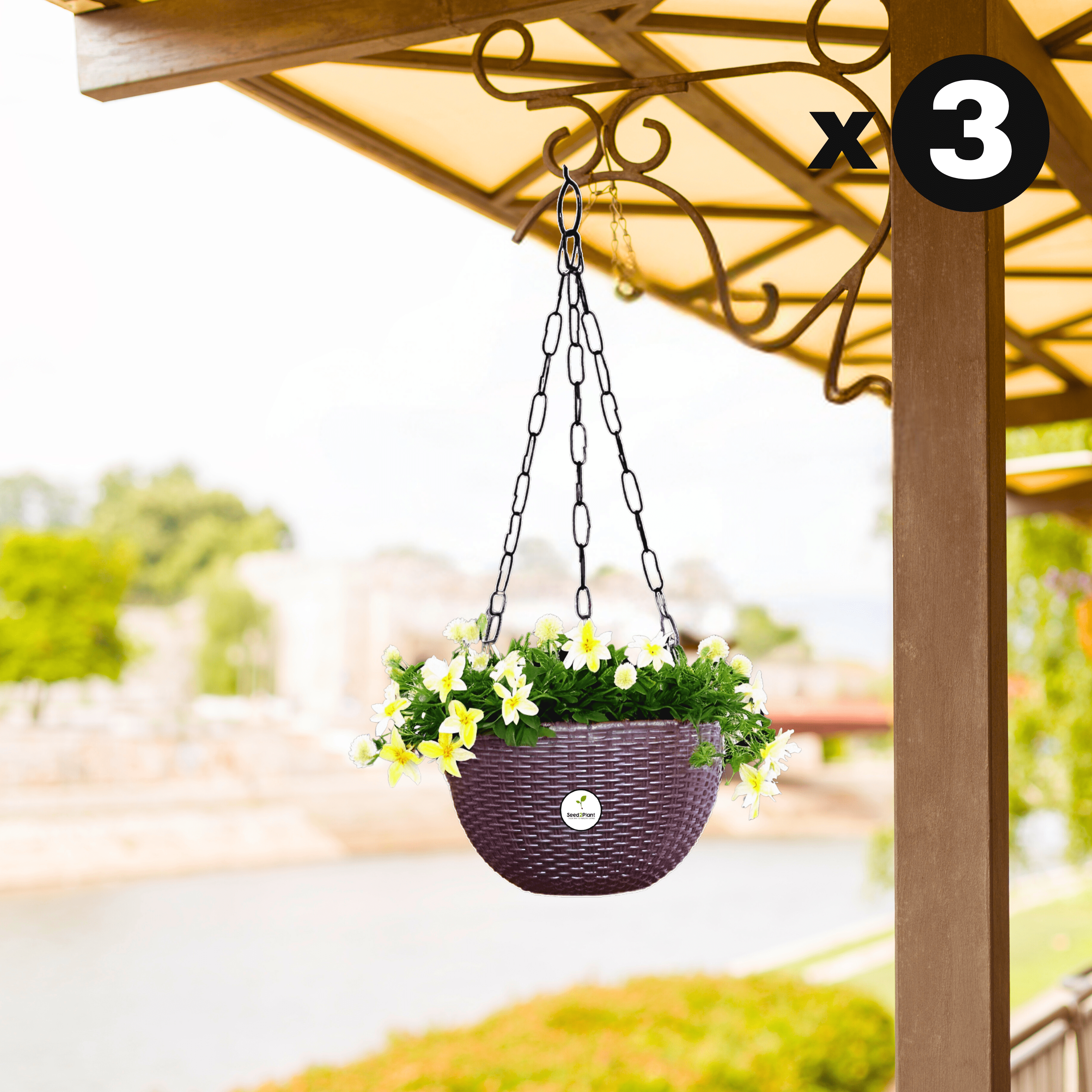 Ultra Model Virgin Plastic Hanging Pot - Brown Colour