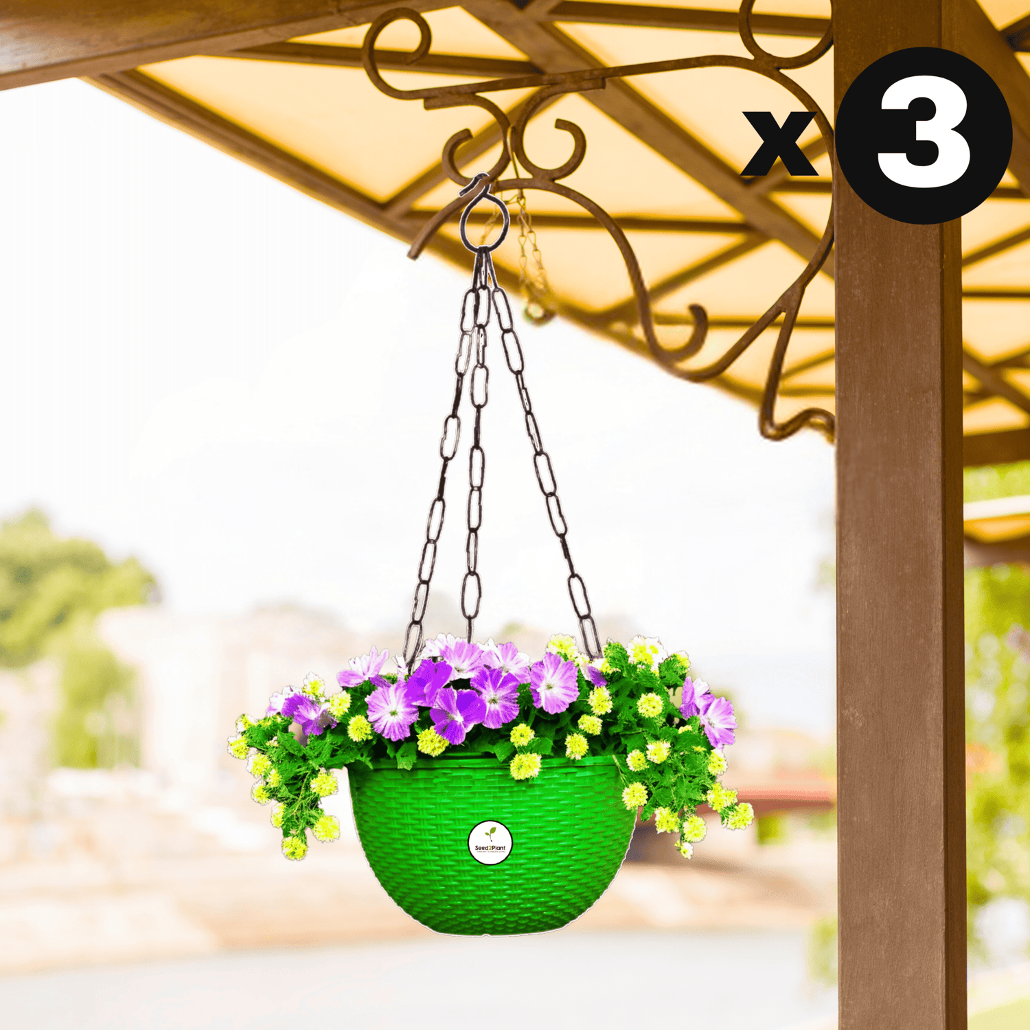 Ultra Model Virgin Plastic Hanging Pot - Green Colour