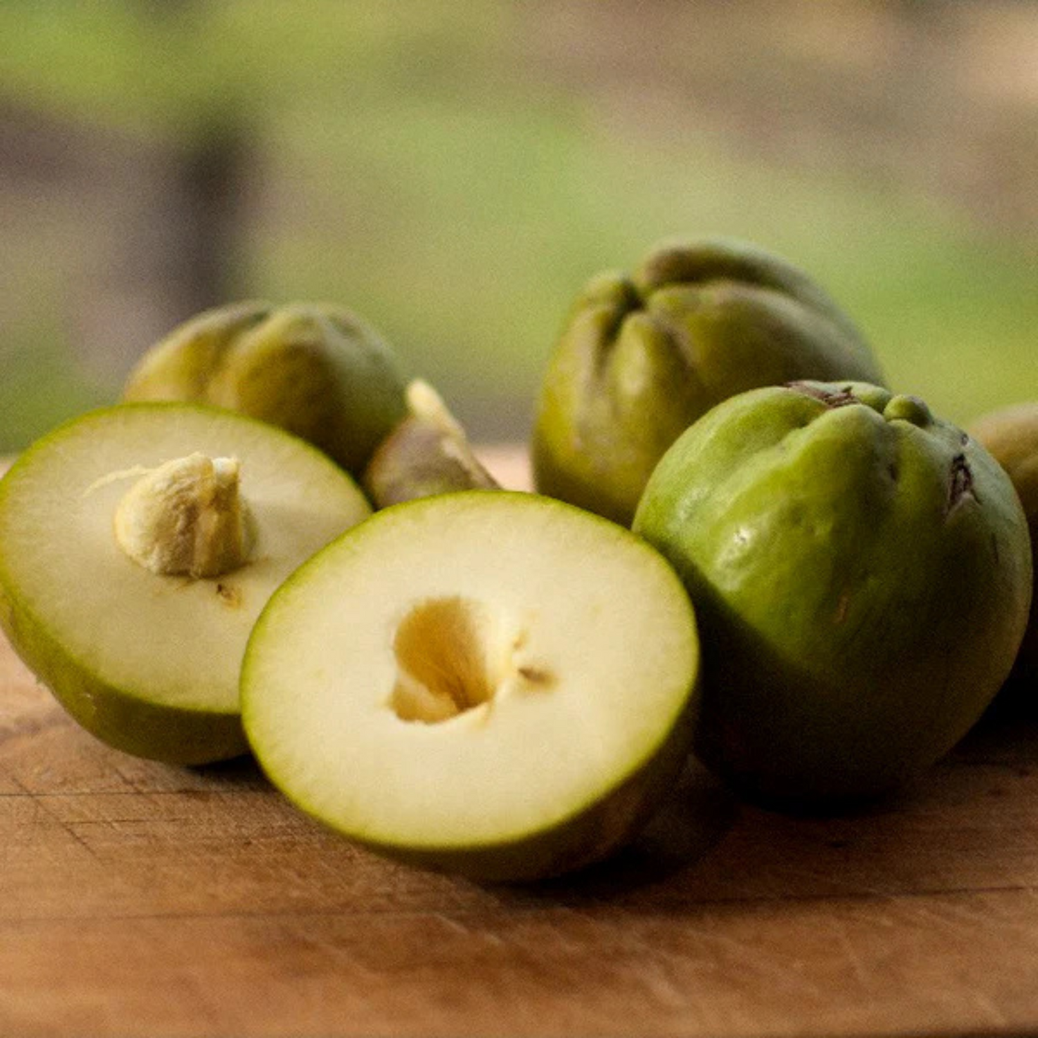 White Sapote (Casimiroa Edulis) Fruit Live Plant