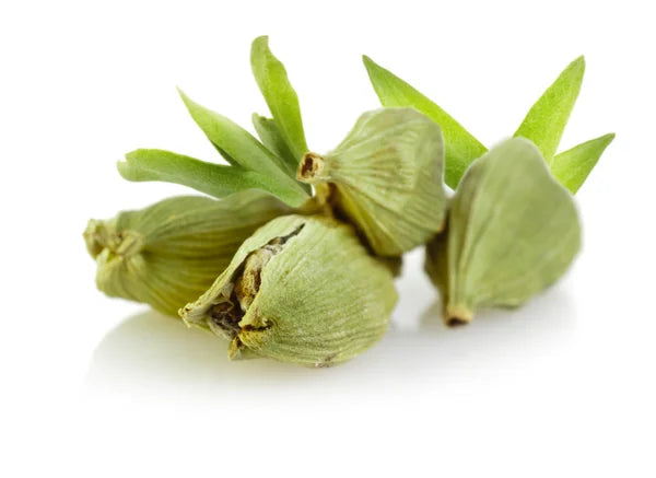 Cardamom (Elaichi) Spice Plant