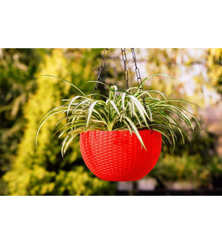 Ultra Model Virgin Plastic Hanging Pot - Red Colour