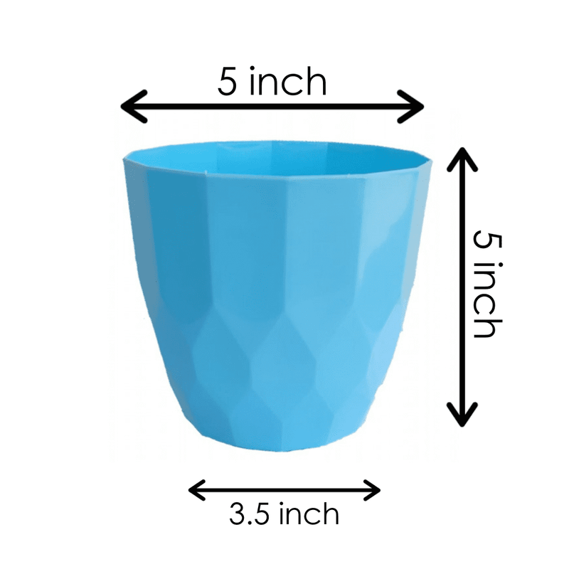 Orchid Indoor Tabletop Small Planter Plastic Pot - Blue Color