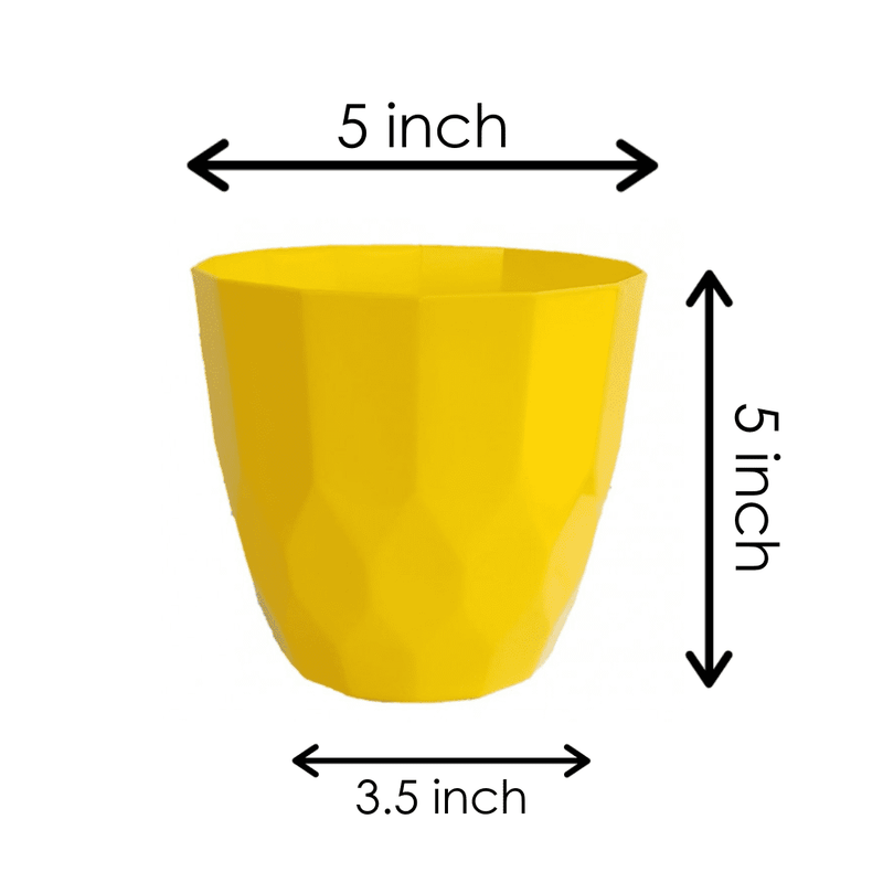 Orchid Indoor Tabletop Small Planter Plastic Pot - Yellow Color